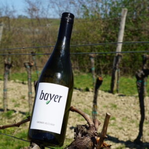 Grüner Veltliner 2025